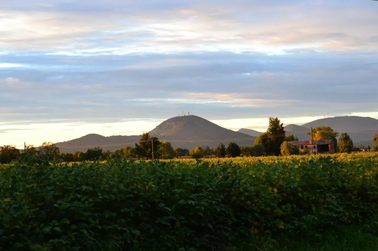 Regina Sconta Bed & Breakfast Villa Estense