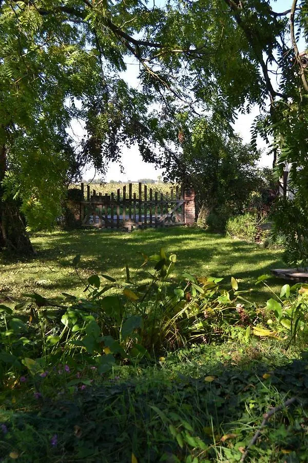 Regina Sconta Bed & Breakfast Villa Estense